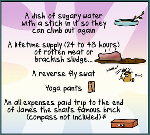 Invertebrate Of The Year, panel 5