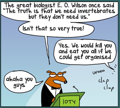 Invertebrate Of The Year, panel 3