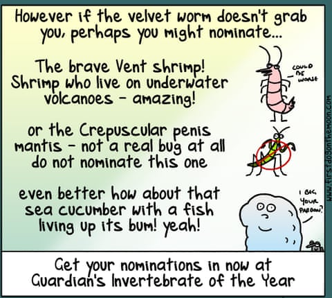 Invertebrate Of The Year, panel 7