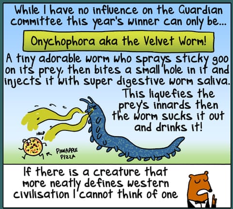 Invertebrate Of The Year, panel 6