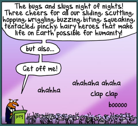 Invertebrate Of The Year, panel 2