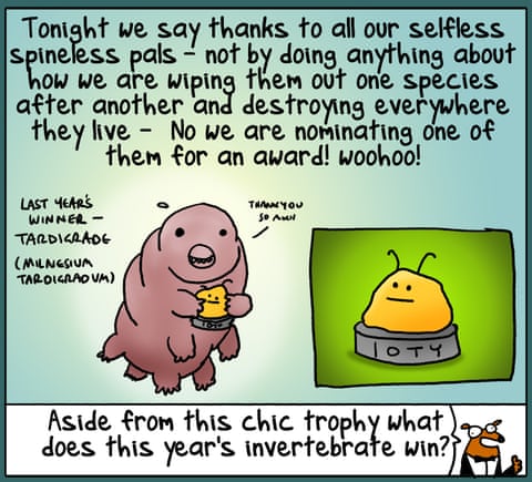 Invertebrate Of The Year, panel 4