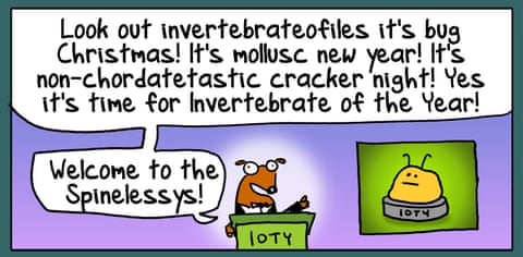 Invertebrate Of The Year, panel 1