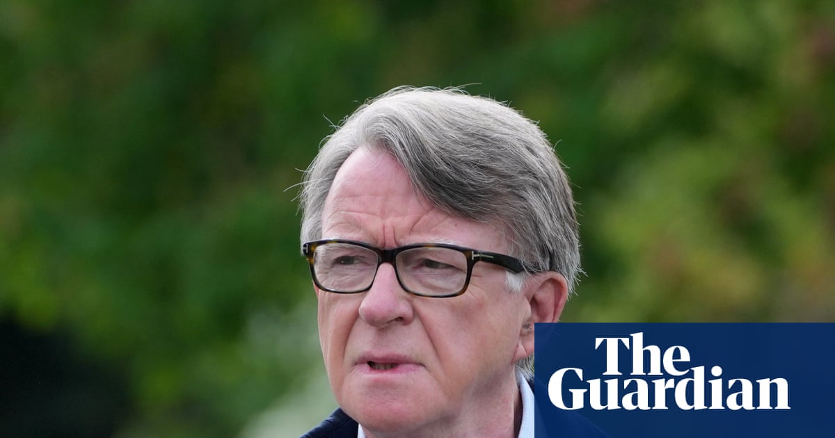 What is DV'? Key acronyms and terms in the Mandelson vetting row explained