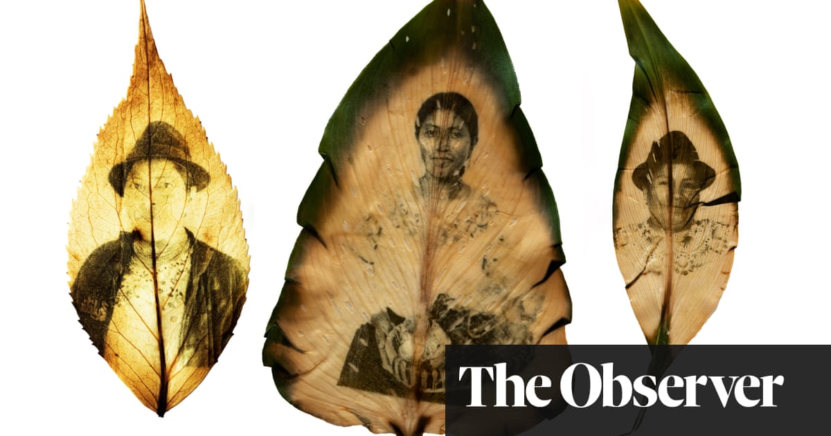 This land is your land: leaf portraits of Ecuador's female farmers in pictures