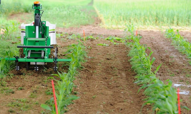 A demonstration of a weeding robot on a farm in Saint-Hilaire-en-Woevre, France