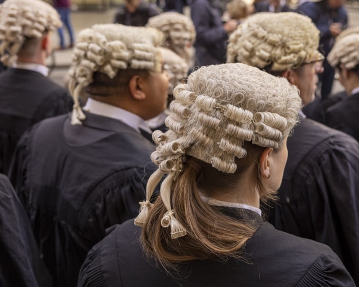 Palestine Action trial lawyer’s prosecution criticised as ‘chilling’ for profession