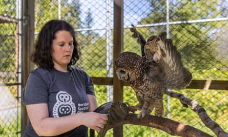 Jasmine McCulligh, wildlife biologist and Northern Spotted Owl Breeding Program facility coordinator, with one of the owls in her care.
