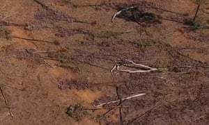 Land clearing in Queensland is an increasing danger to the environment and threatened species because the federal government is failing to enforce laws.