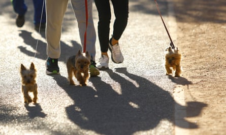 ‘We also want to give dogs a chance to sniff and to explore their world.’