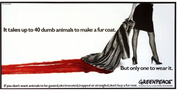 POLL: Should there be a worldwide ban on fur farming? 2980