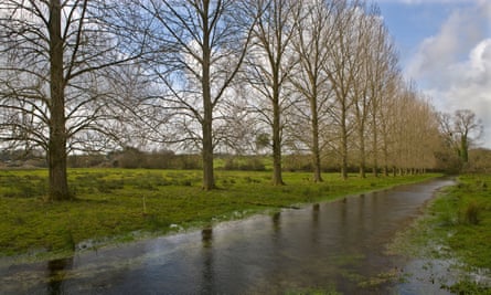 The River Allen at Wimborne St Giles.