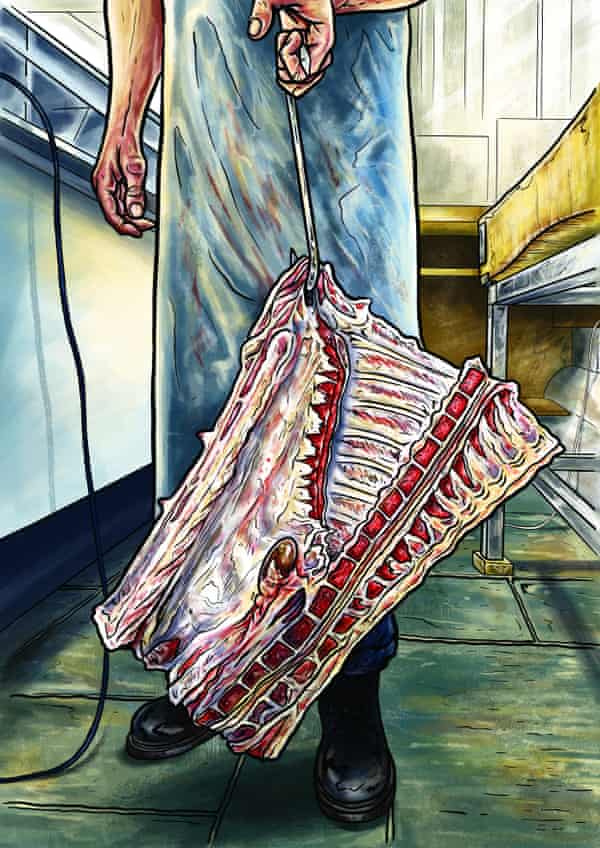 Great British Bake Off Illustrator Tom Hovey S Guilty Secret I Don T Eat Cakes Television The Guardian Great British Bake Off Illustrator Tom Hovey S Guilty Secret I Don T Eat Cakes Television The Guardian