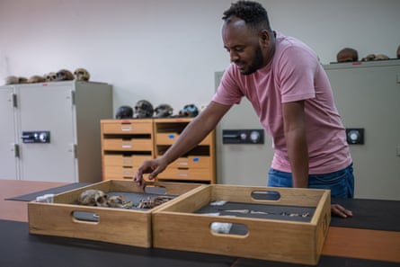A man looks at two wooden crates of fossils on a work top