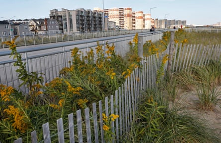 Five years after Superstorm Sandy, dune plantings border a broad concrete boardwalk separating residential buildings, left, from the beach in Rockaway Beach in the Queens borough of New York on 12 October 2017.