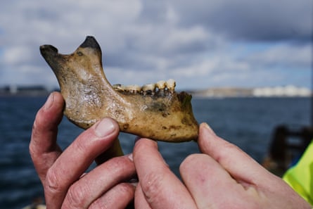 Archaeologist holds up part of a human lower jawbone