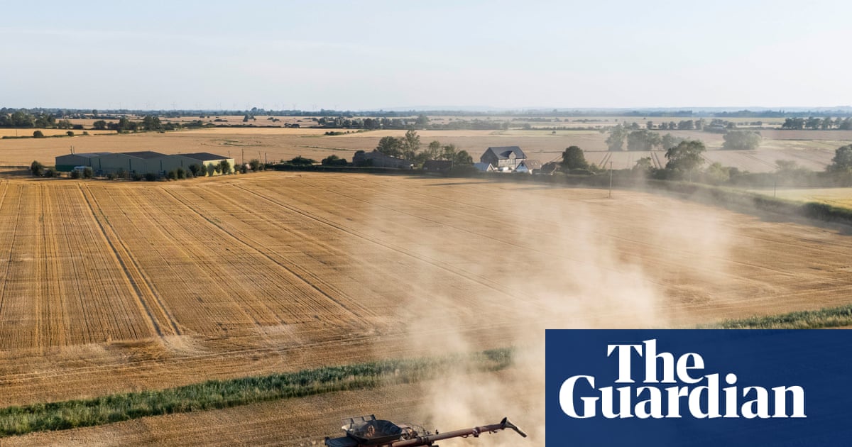 Britain could face food shortages as drought continues, farmers warn