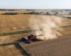 Britain could face food shortages as drought continues, farmers warn