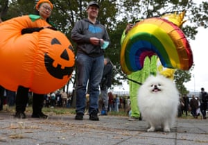 A dog stands next to people dressed in costumes during the parade.