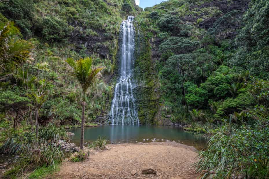 Karekare Falls dans les chaînes de Waitakere sur l'île du Nord de la Nouvelle-Zélande.