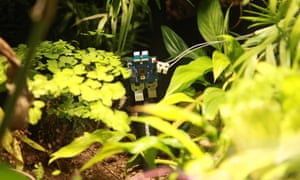 A câmera que Pete usou para tirar sua selfie