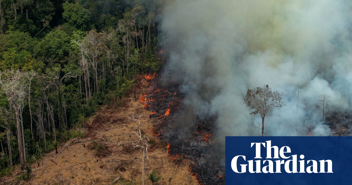 Ex-minister: Bolsonaro ‘most detested’ leader as he neglects the Amazon