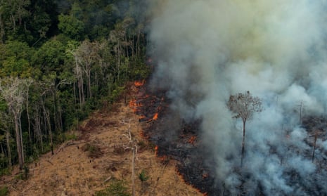 A patch of forest being cleared with fire in the municipality of Candeias do Jamari in the Amazon basin in north-western Brazil, on Saturday.