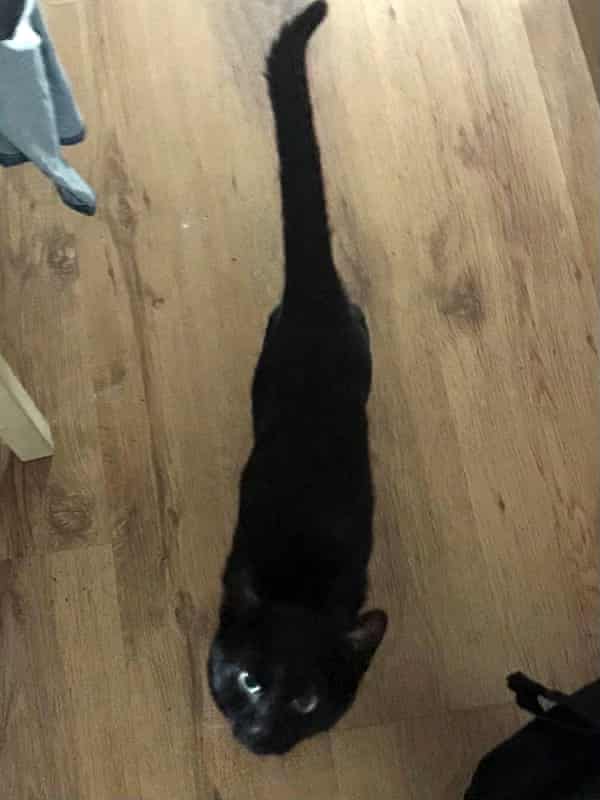 Rambunctious ... Marina.