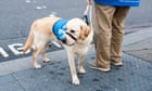 Guide Dogs UK blames cost of living crisis as it plans 160 redundancies