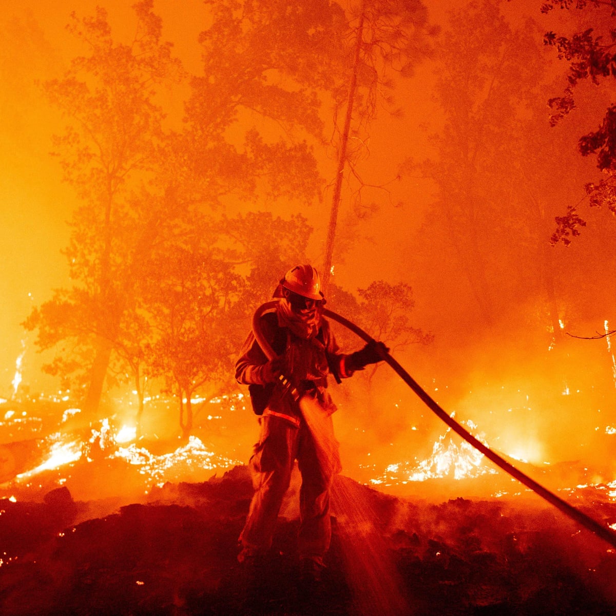 California fires burn record 2m acres | US news | The Guardian