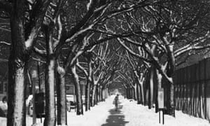 Newspapers & magazines Newspapers & magazines | Media | The Guardian