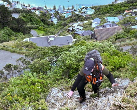 A member of the Predator Free Wellington rat eradication team. Local conservation groups in New Zealand are increasingly relying on residents to call in sightings of sole predators, which triggers an urgent response team to hunt them down.