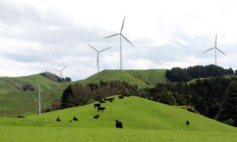 Cows graze near wind farms on the east coast region of Hawke’s Bay, New Zealand October 30, 2020.