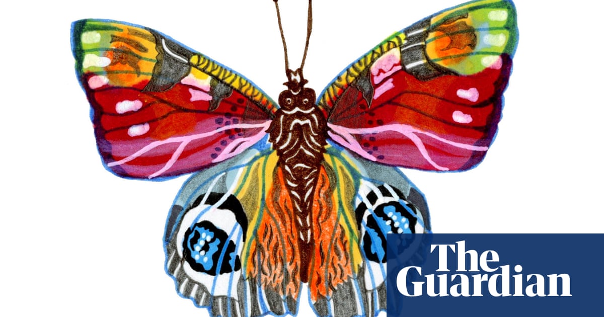 Why Do Butterflies Have Different Colours On Their Wings Try Our Kids why-do-butterflies-have-different-colours-on-their-wings-try-our-kids