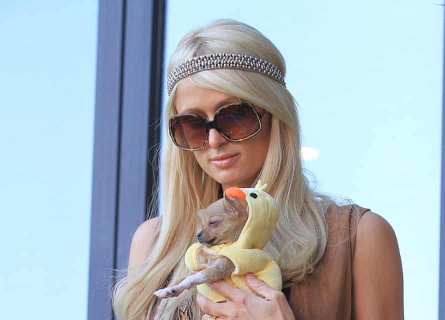 Move over fun-sized canines - the blockchain is Paris Hilton’s current obsession.