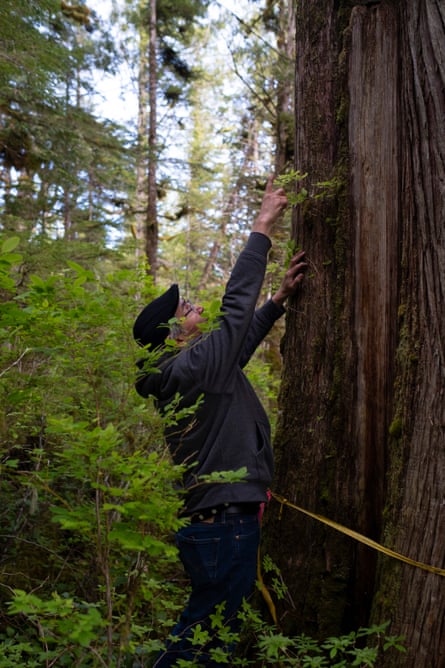 a man reaching up a teee