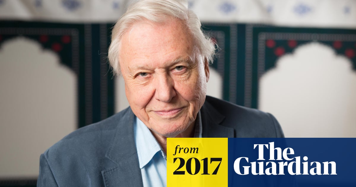 29+ Daughter David Attenborough Children Gif