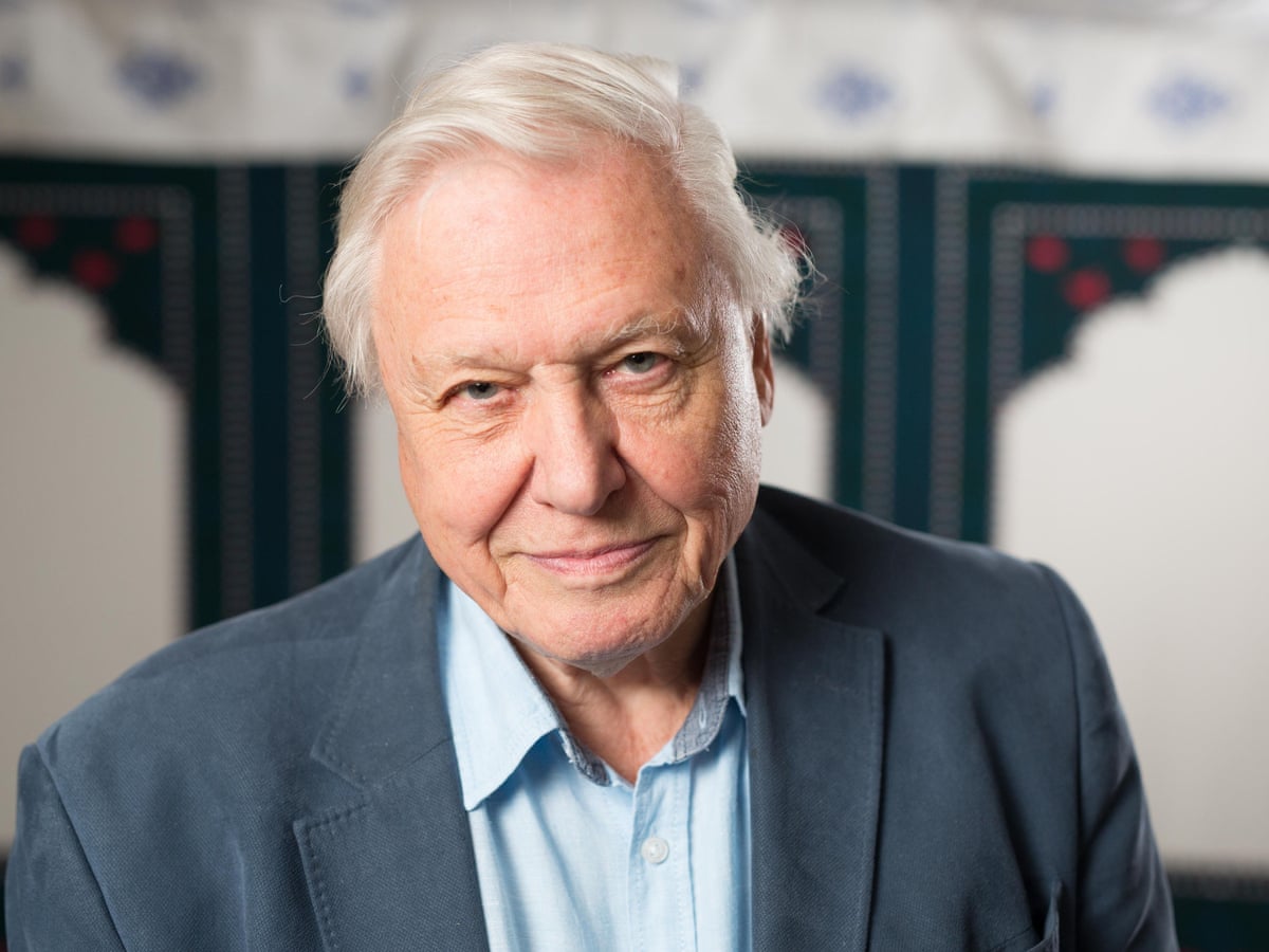David Attenborough Regrets Not Seeing His Children Grow Up David Attenborough The Guardian