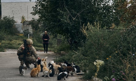 Artur greets some cats in the city of Izium, eastern Ukraine.