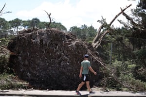 A man walks past an uprooted tree at Titirangi Golf Club, Auckland