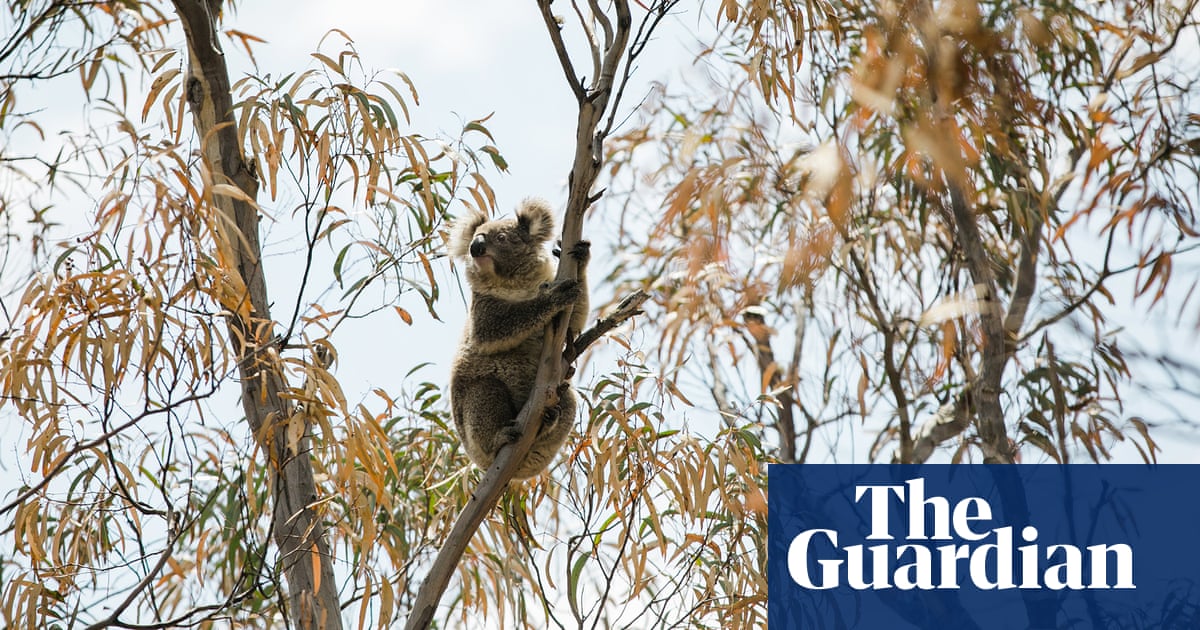 2000.jpg?width=1200&height=630&quality=8