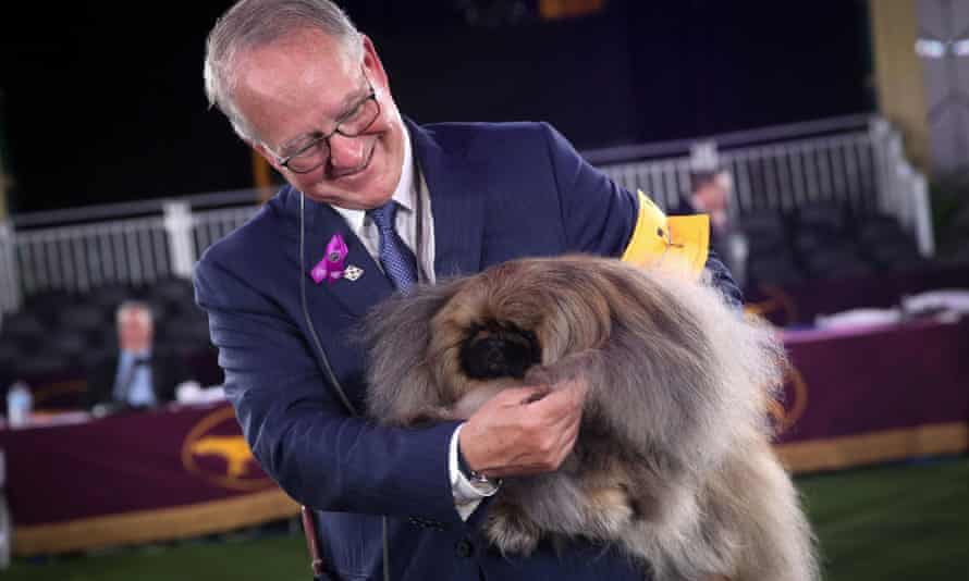 Wasabi, a Pekingese of East Berlin, Pennsylvania is held by his owner and handler David Fitzpatrick