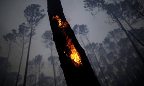 View of the devastation caused by a forest fire in an area of Brasilia’s national forest. More than 100,000 fired have been detected this month. 