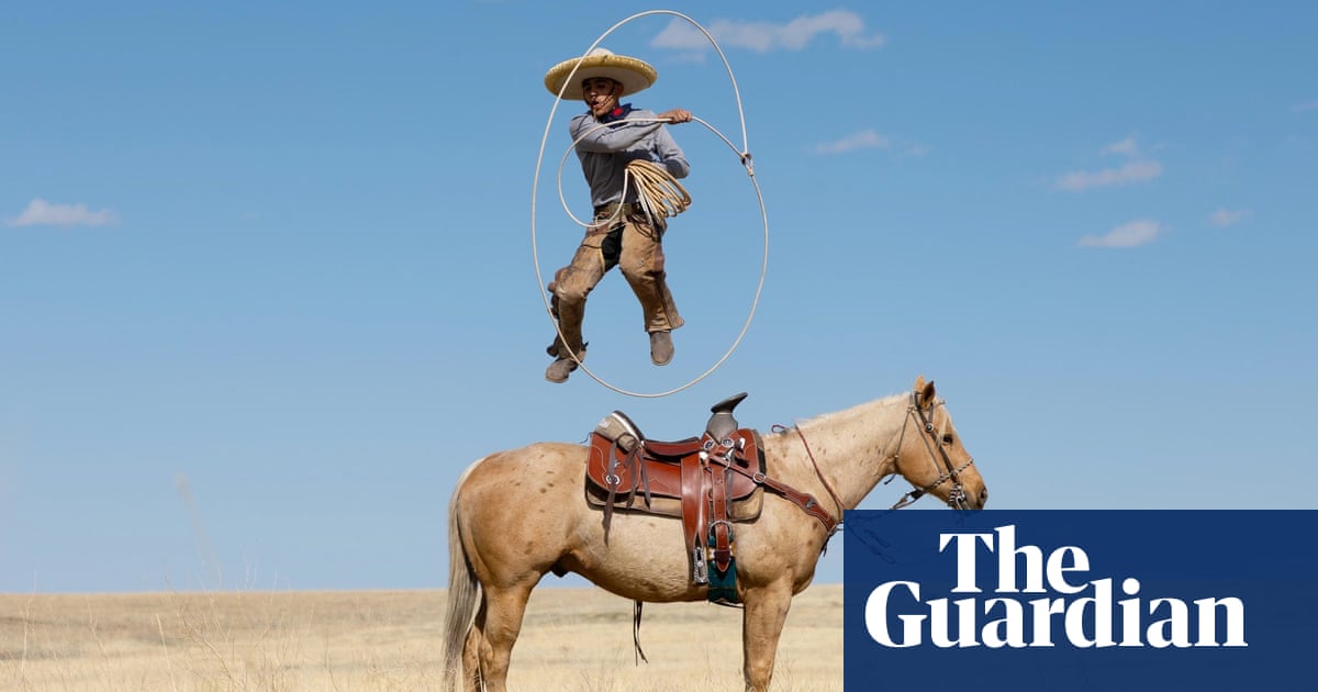 Cliff-divers, floating drinkers and billion-dollar flies: everyday moments on Earth in pictures