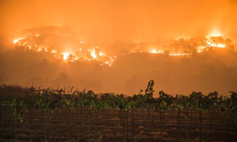 Wildfires in California, USA - 10 Oct 2017<br>Mandatory Credit: Photo by Stuart Palley/ZUMA Wire/REX/Shutterstock (9131672a) The Atlas Fire burns east of Woodley Canyon Rd near vineyards late Tuesday evening in Napa County Wildfires in California, USA - 10 Oct 2017 The Atlas Fire burns in Napa and Solano Counties Monday evening. The fire was 3% contained and had burned 25,000 acres. Multiple structures were destroyed as crews battled strong winds and tinder dry vegetation after multiple fires burned in the area.