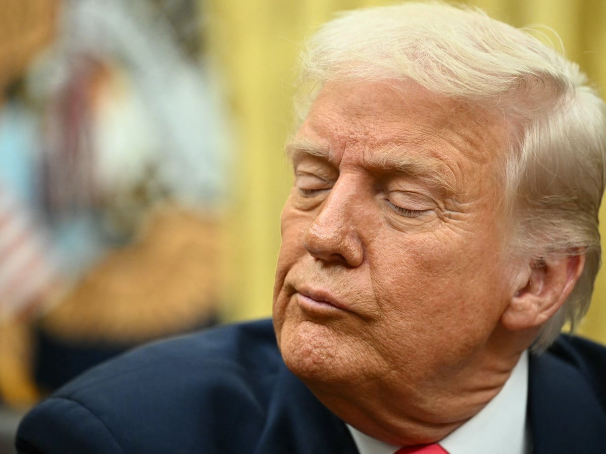 I hate to predict things': Trump doesn't rule out US recession amid trade tariffs | Trump administration | The Guardian