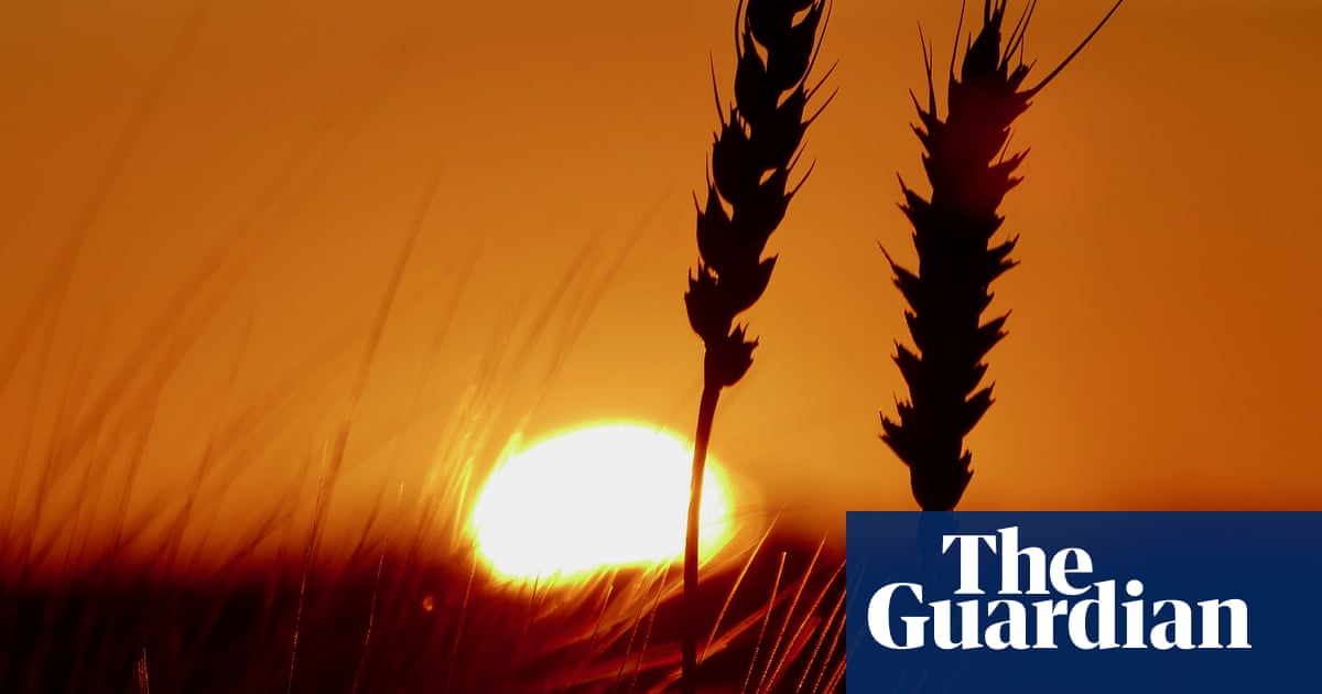 Profound concern' as scientists say extreme heat now the norm' in UK