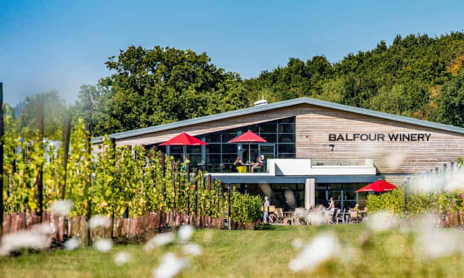 Grape escapes: 10 amazing UK vineyard hotels and lodges | Wine holidays 3 Hush Heath Estate, Kent.