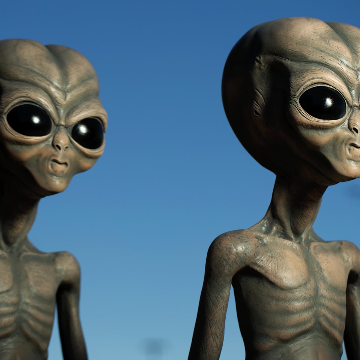 Seriously You Guys Alien Meme