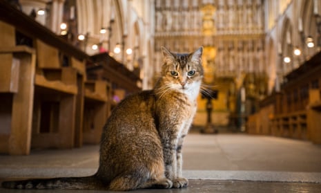Doorkins Magnificat, who was a resident at the historical Southwark Cathedral for 11 years.
